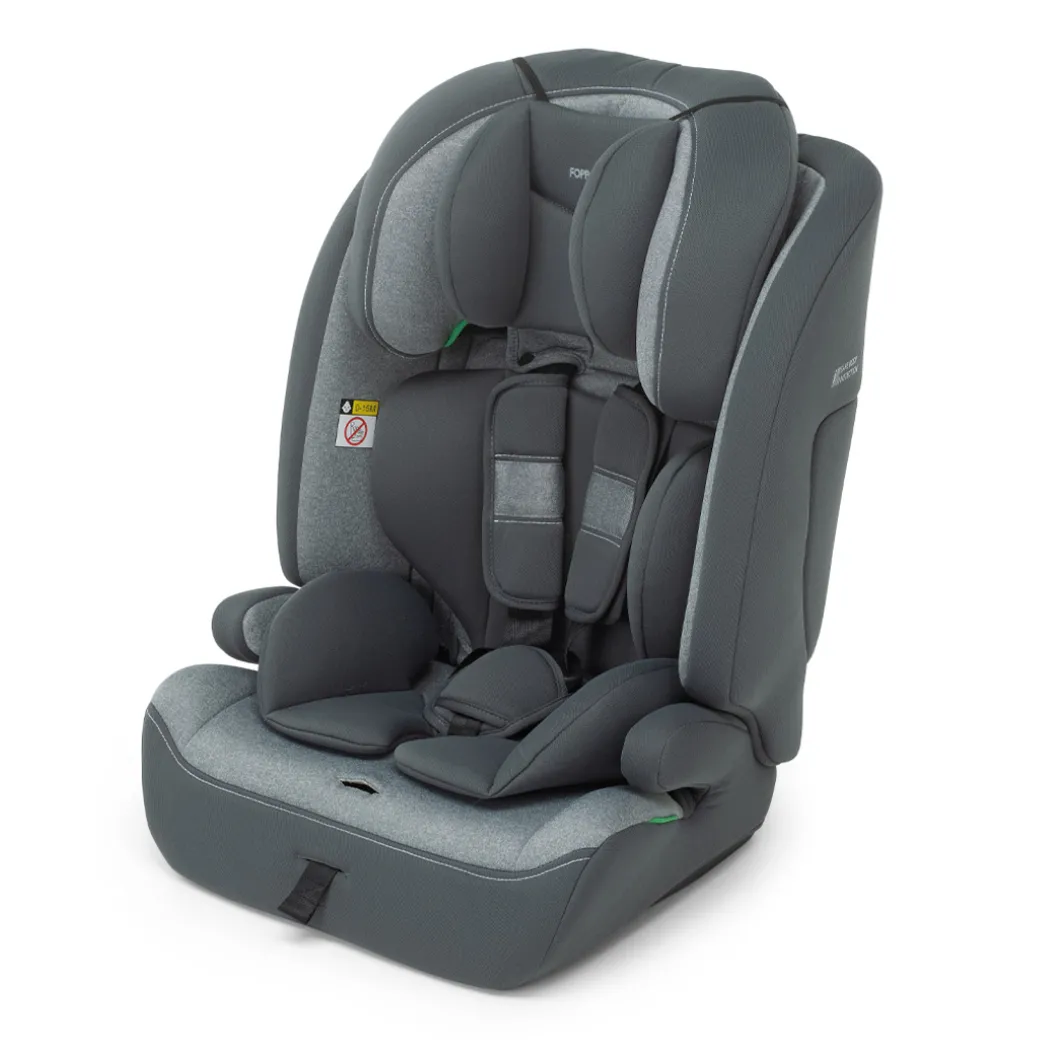 Lista Nascita Babyroad i-Size Silver + Babyguard